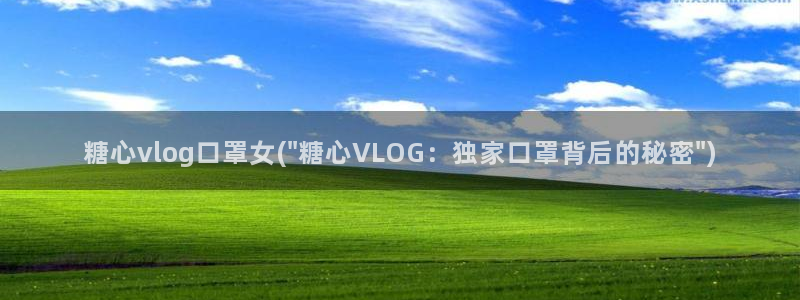 糖心vlog正版下载