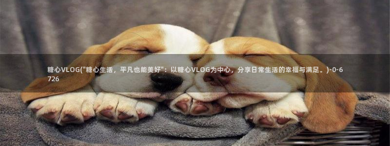 糖心vlog视频播放