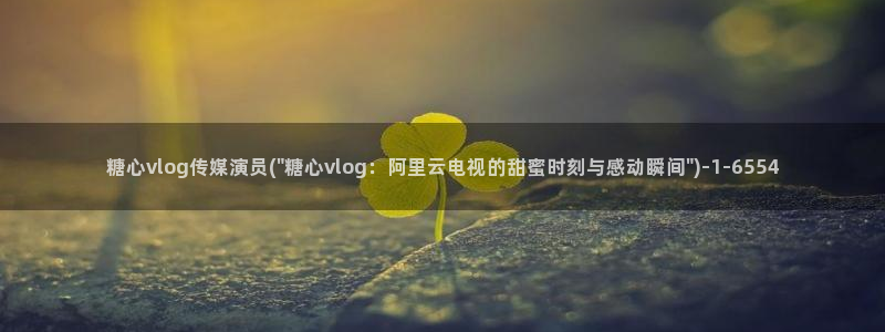 糖心vlog.com：糖心vlog传媒演员(\