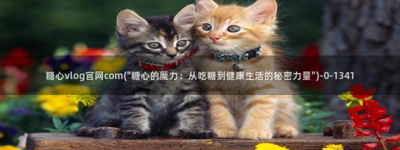 糖心vlog网站免费：糖心vlog官网com(\