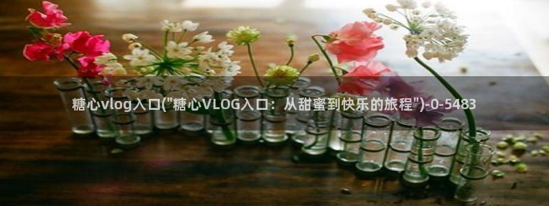 糖心vlog资源包：糖心vlog入口(\