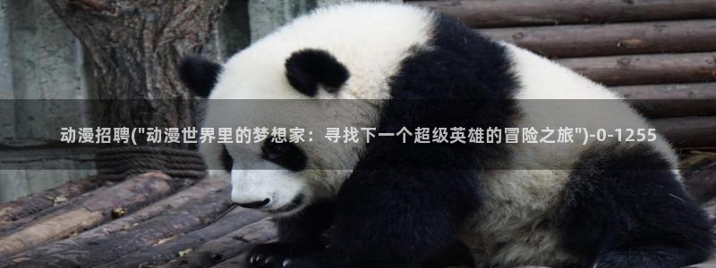 动漫新番