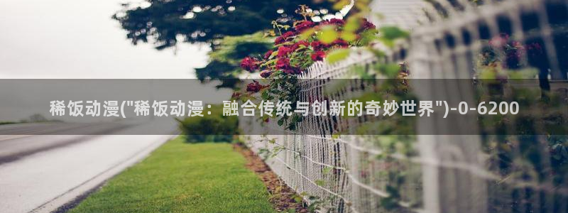 海贼王动漫
