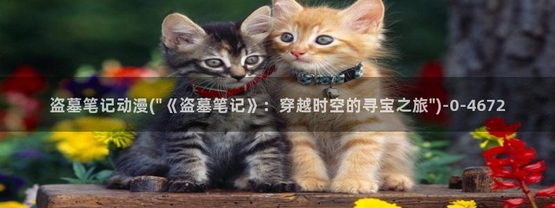 风车动漫在线观看